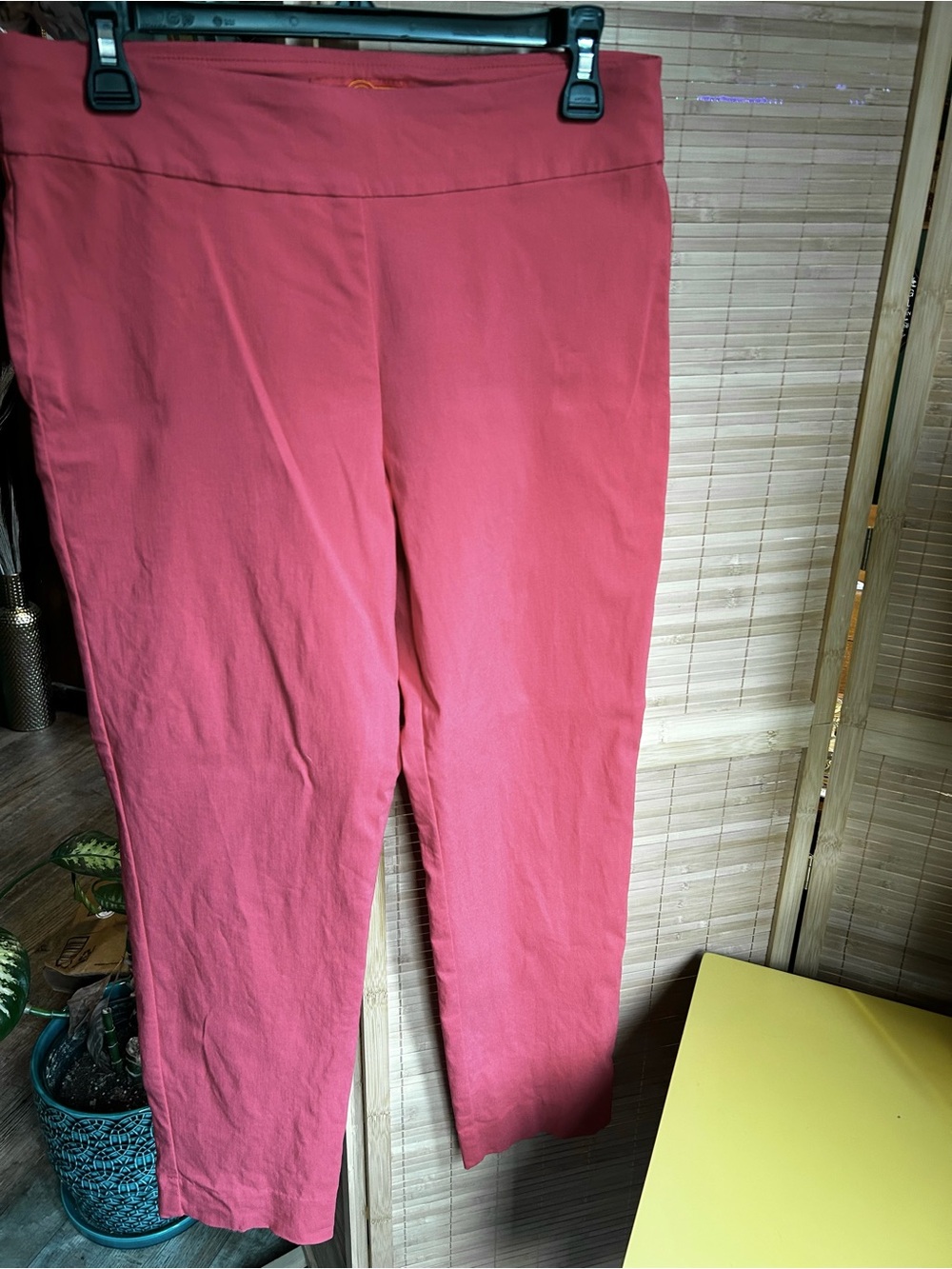Krazy Larry women’s ankle pants size 10